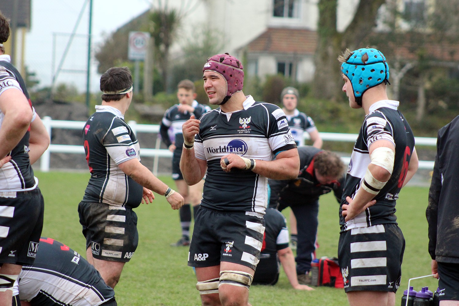 Falmouth Rugby Club Eagles swoop to safety